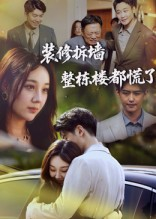 《装修拆墙整栋楼都慌了（50集）》短剧封面