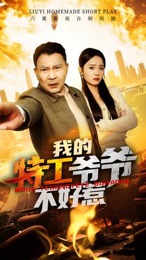 我的特工爷爷不好惹（68集）（夸克网盘）封面图 - 短剧短剧