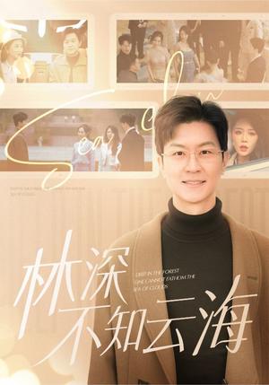 林深不知云海（84集）王鹏＆钟莹玲（夸克网盘）封面图 - 古装短剧