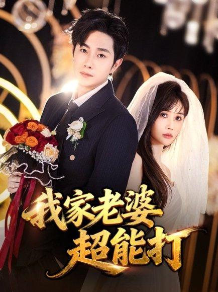 我家老婆超能打（60集）王新颖&杨皓竣（百度网盘）封面