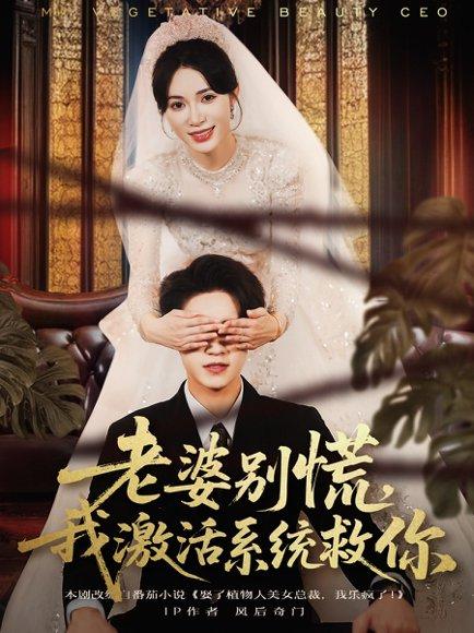 老婆别慌，我激活系统救你封面图 - 系统短剧
