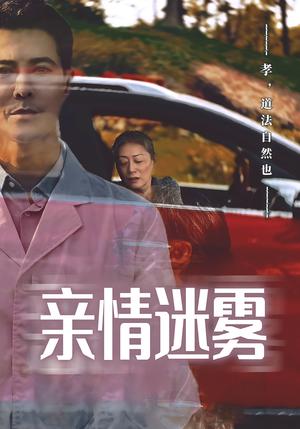 亲情迷雾（30集）封面图 - 家庭短剧