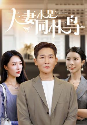花好月圆之寒门孝子（36集）（夸克网盘）封面图 - 短剧短剧