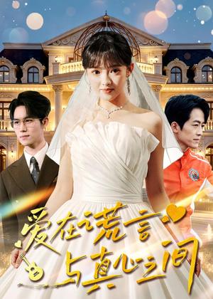 爱在谎言与真心之间（76集）吴梦媛＆南下（夸克网盘）封面图 - 短剧短剧
