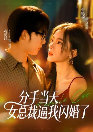 分手当天，女总裁逼我闪婚了（72集）张晓楠＆程勇炜（夸克网盘）封面图 - 都市短剧