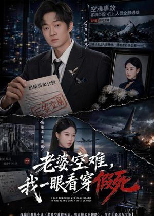 老婆空难，我一眼看穿假死（80集）文烨＆杨敬晶（夸克网盘）封面