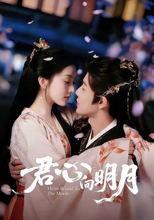 君心向明月（60集）沈浩晨＆梨小娜（夸克网盘）封面