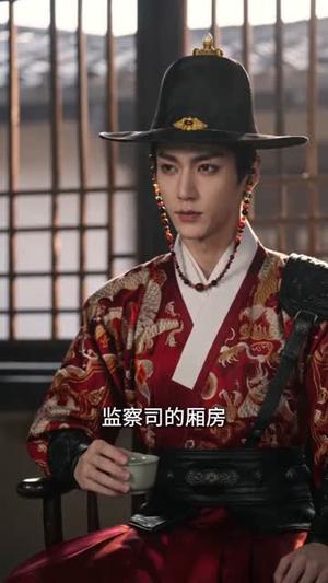 澜音录：手撕绑匪后我成了锦衣卫夫人（99集）（夸克网盘）封面