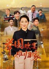 举国欢宴难归家封面图 - 家庭短剧