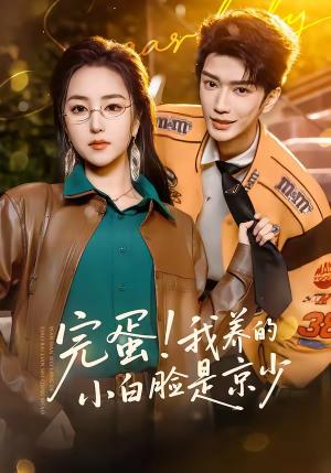 完蛋！我养的小白脸是京少（91集）金玄雨＆夏玄子（夸克网盘）封面图 - 短剧短剧