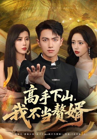 《高手下山我不当赘婿》短剧封面