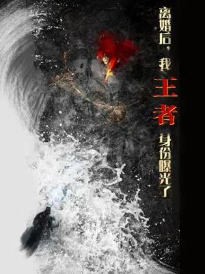 离婚后，我王者身份曝光了（80集）廖芯&杨泽琳（夸克网盘）封面图 - 都市逆袭短剧