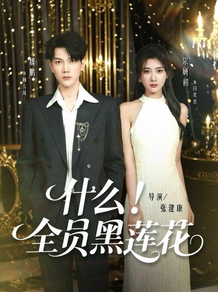 什么全员黑莲花封面图 - 悬疑短剧