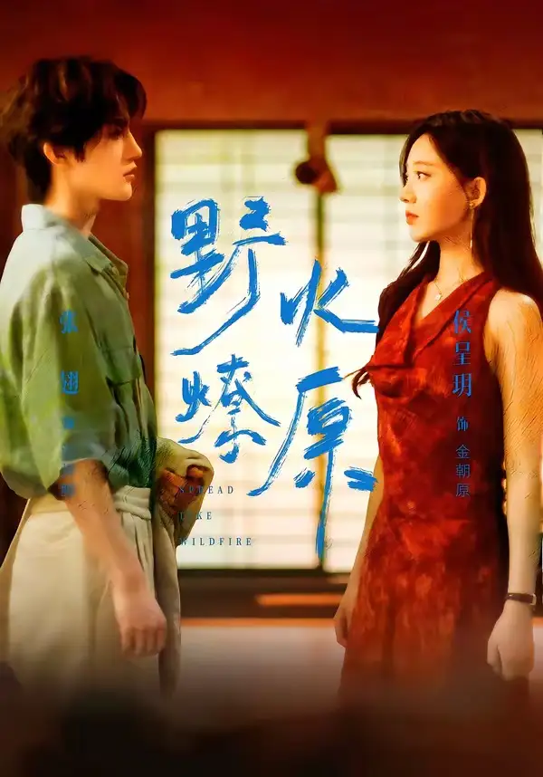 《野火燎原（72集）张翅＆侯呈玥（夸克网盘）》短剧封面