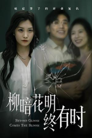 柳暗花明终有时（50集）张宇翔&李沿熹（夸克网盘）封面图 - 短剧短剧