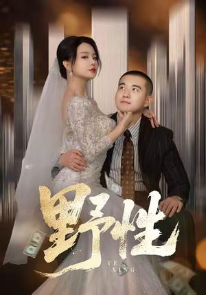 野性&分手后,顶头上司要嫁我(70集)阎论&梦露 野性&分手后,顶头上司要嫁我(70集)阎论&梦露封面
