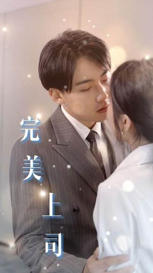 擦边短剧：完美上司（30集）（夸克网盘）封面图 - 短剧短剧