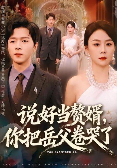 《说好当赘婿，你把岳父卷哭了（80集）吴雨濛&陈熙楠（百度网盘）》短剧封面