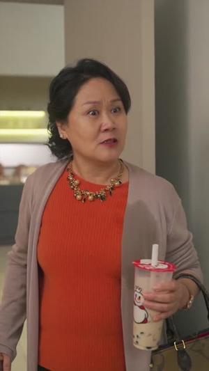 凤羽辰安(100集)(夸克网盘) 凤羽辰安(100集)(夸克网盘)封面