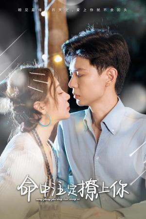 听妈妈的话（29集）（夸克网盘）封面图 - 短剧短剧