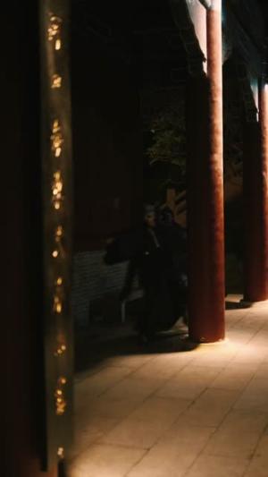天啊！班主任竟然是武功高强的长公主（89集）海俊杰＆关嘉敏（夸克网盘）封面图 - 校园短剧