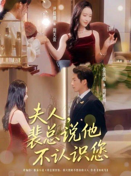 夫人裴总说他不认识您（75集）张淇皓&尹晨攒封面图 - 爱情短剧