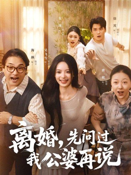 离婚先问过我公婆再说（96集）吴飞雪&徐霄封面图 - 家庭短剧