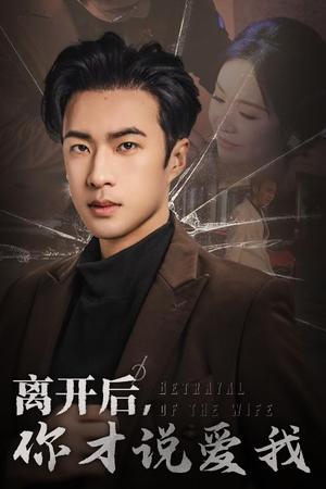 离开后你才说爱我&心如枯木难逢春（30集）孔奇力（夸克网盘）封面