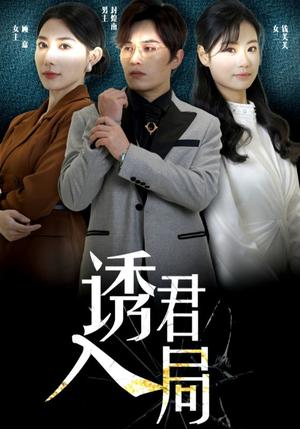 诱君入局（43集）（夸克网盘）封面