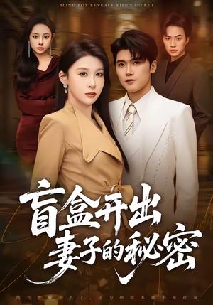 盲盒开出妻子的秘密（40集）林嘉翊＆张灵钰（夸克网盘）封面图 - 都市短剧