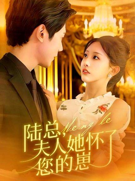 陆总，夫人她怀了您的崽（89集）何连飞＆李艾笑封面图 - 豪门短剧