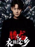腾龙之衣锦还乡封面图 - 励志短剧