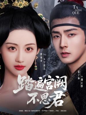 踏遍宫阙不思君（75集）裴子添＆曹赛亚（夸克网盘）封面图 - 短剧短剧