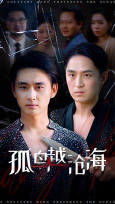 孤鸟越沧海 (60集) 陈柄希&张梦薇（百度网盘）封面图 - 都市爱情短剧