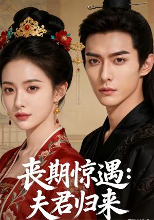 丧期惊遇夫君归来（49集）Ai短剧（夸克网盘）封面图 - 古装短剧