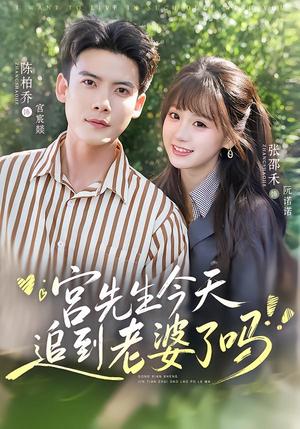 宫先生今天追到老婆了吗 《宫先生今天追到老婆了吗》短剧封面
