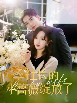 季社长的小蔷薇绽放了（60集）王浩翔＆郭知爻（夸克网盘）封面图 - 爱情短剧