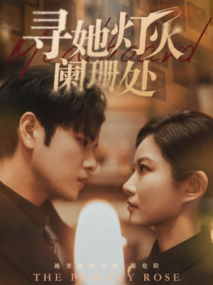 《寻她灯火阑珊处》短剧封面