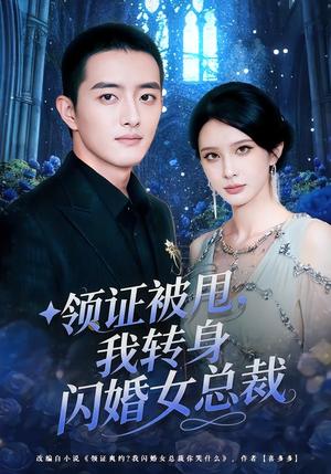 领证被甩，我转身闪婚女总裁（80集）顾梢姌&王晨旭（夸克网盘）封面图 - 短剧短剧