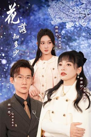 花落知多少&哥哥逆光而来（27集）（夸克网盘）封面图 - 家庭情感短剧