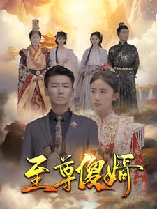 至尊傻婿 《至尊傻婿》短剧封面