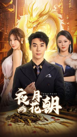 夜月花朝（30集）（夸克网盘）封面图 - 古装短剧
