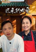 《迟来的母爱》短剧封面