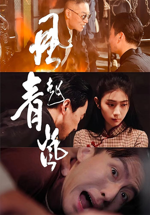 《风起青岚(96集)》短剧封面