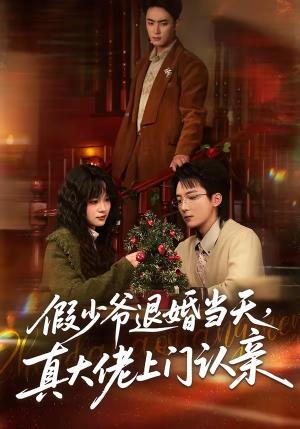 假少爷退婚当天，真大佬上门认亲（50集）刘海燕&周宇航（夸克网盘）封面