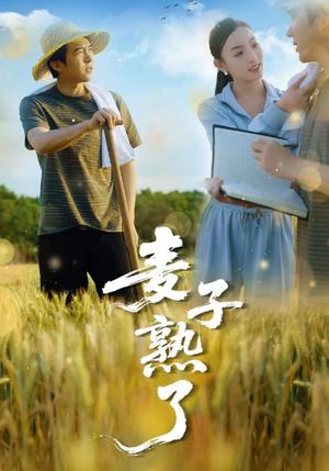 麦子熟了（52集）冯思源＆宋雯娟（夸克网盘）封面图 - 短剧短剧