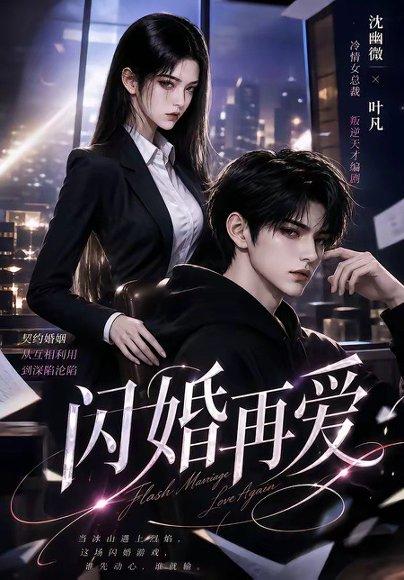 闪婚再爱（18集）（百度网盘）封面