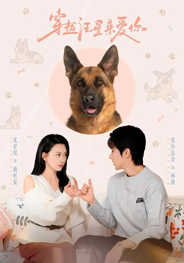 《穿越汪星来爱你（62集）爱尔法金＆张星瑶（夸克网盘）》短剧封面