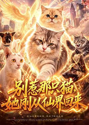 《别惹那只猫，她刚从仙界回来（97集）（夸克网盘）》短剧封面