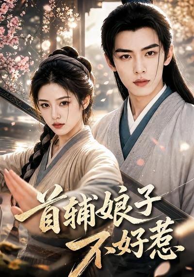 首辅娘子不好惹（156集）（百度网盘）封面